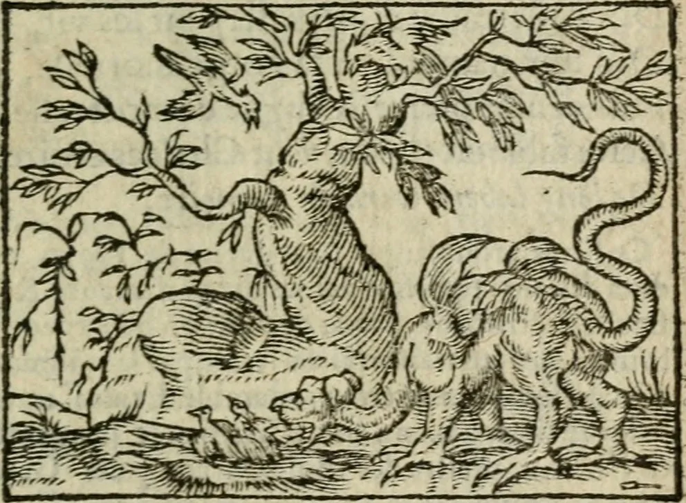 An illustration from Emblemes d'Alciat : en latin et francois vers povr vers, 1574, leaf 196