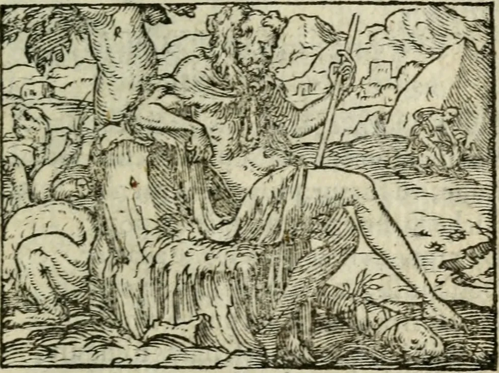 An illustration from Emblemes d'Alciat : en latin et francois vers povr vers, 1574, leaf 206