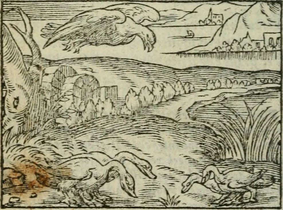 An illustration from Emblemes d'Alciat : en latin et francois vers povr vers, 1574, leaf 209