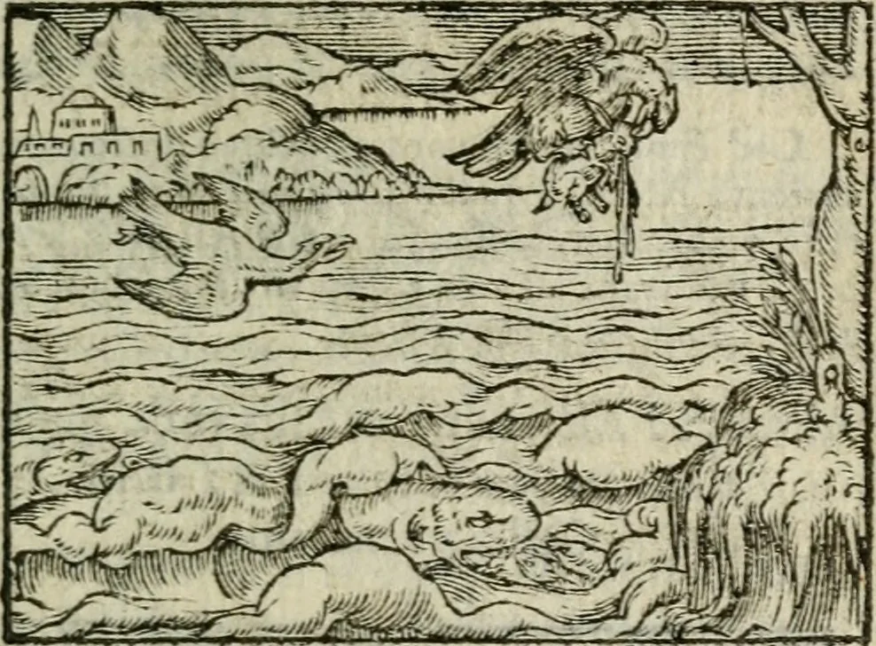 An illustration from Emblemes d'Alciat : en latin et francois vers povr vers, 1574, leaf 212
