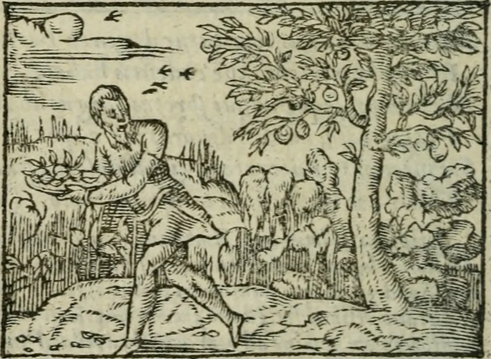 An illustration from Emblemes d'Alciat : en latin et francois vers povr vers, 1574, leaf 213