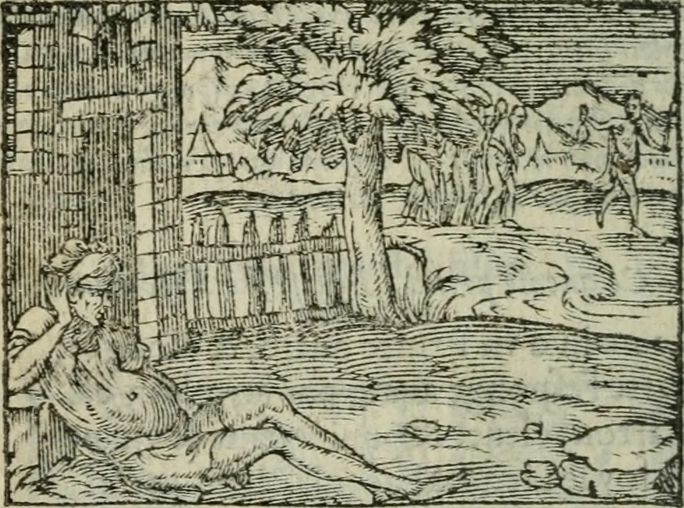 An illustration from Emblemes d'Alciat : en latin et francois vers povr vers, 1574, leaf 221