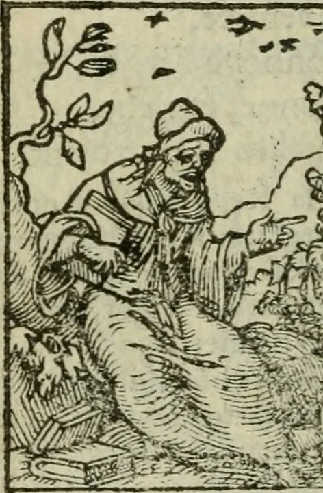 An illustration from Emblemes d'Alciat : en latin et francois vers povr vers, 1574, leaf 229