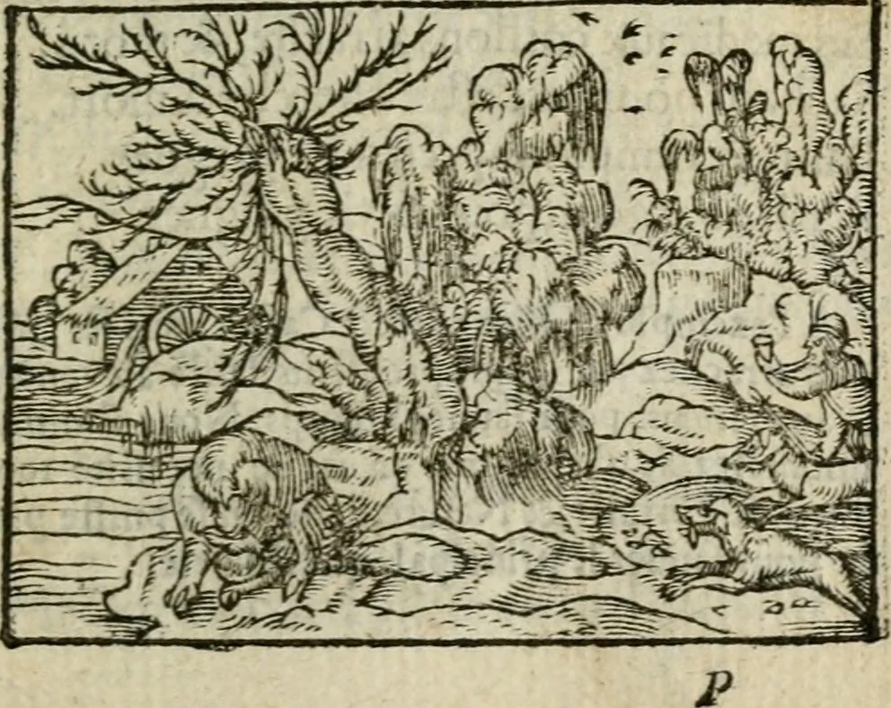 An illustration from Emblemes d'Alciat : en latin et francois vers povr vers, 1574, leaf 230