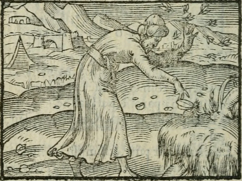 An illustration from Emblemes d'Alciat : en latin et francois vers povr vers, 1574, leaf 247