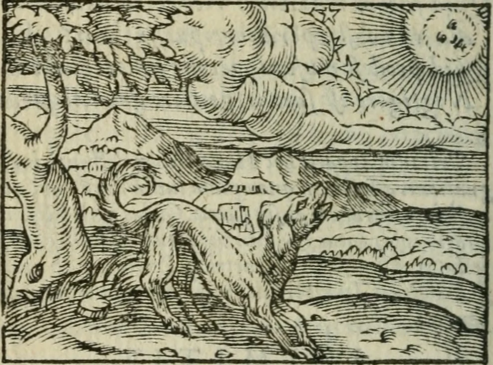 An illustration from Emblemes d'Alciat : en latin et francois vers povr vers, 1574, leaf 249