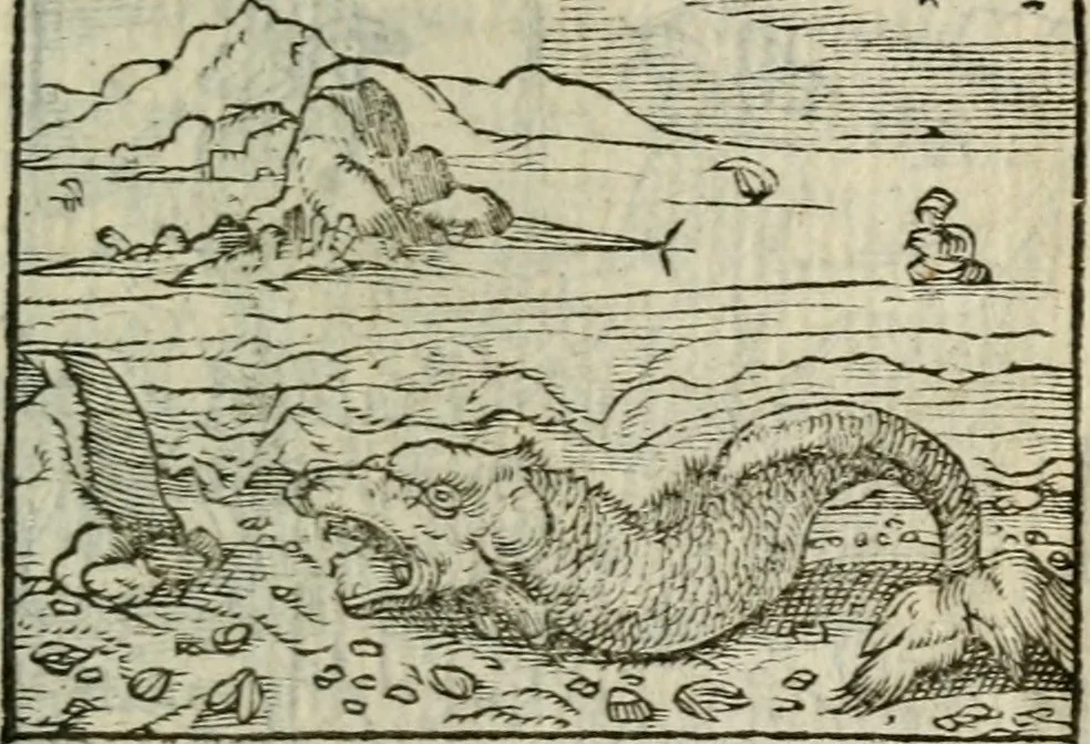 An illustration from Emblemes d'Alciat : en latin et francois vers povr vers, 1574, leaf 252