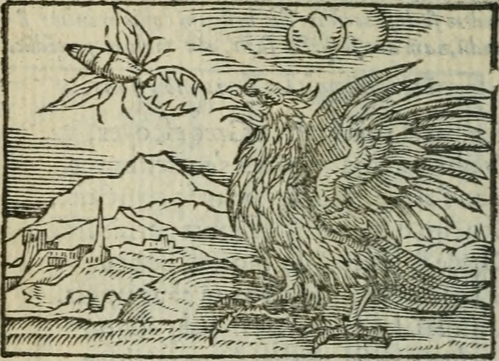 An illustration from Emblemes d'Alciat : en latin et francois vers povr vers, 1574, leaf 255