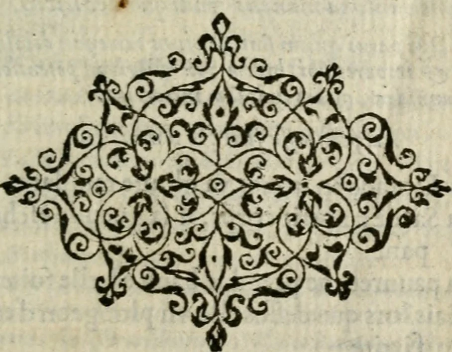 An illustration from Emblemes d'Alciat : en latin et francois vers povr vers, 1574, leaf 256