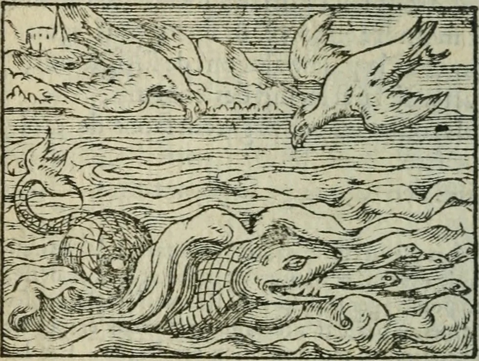 An illustration from Emblemes d'Alciat : en latin et francois vers povr vers, 1574, leaf 257
