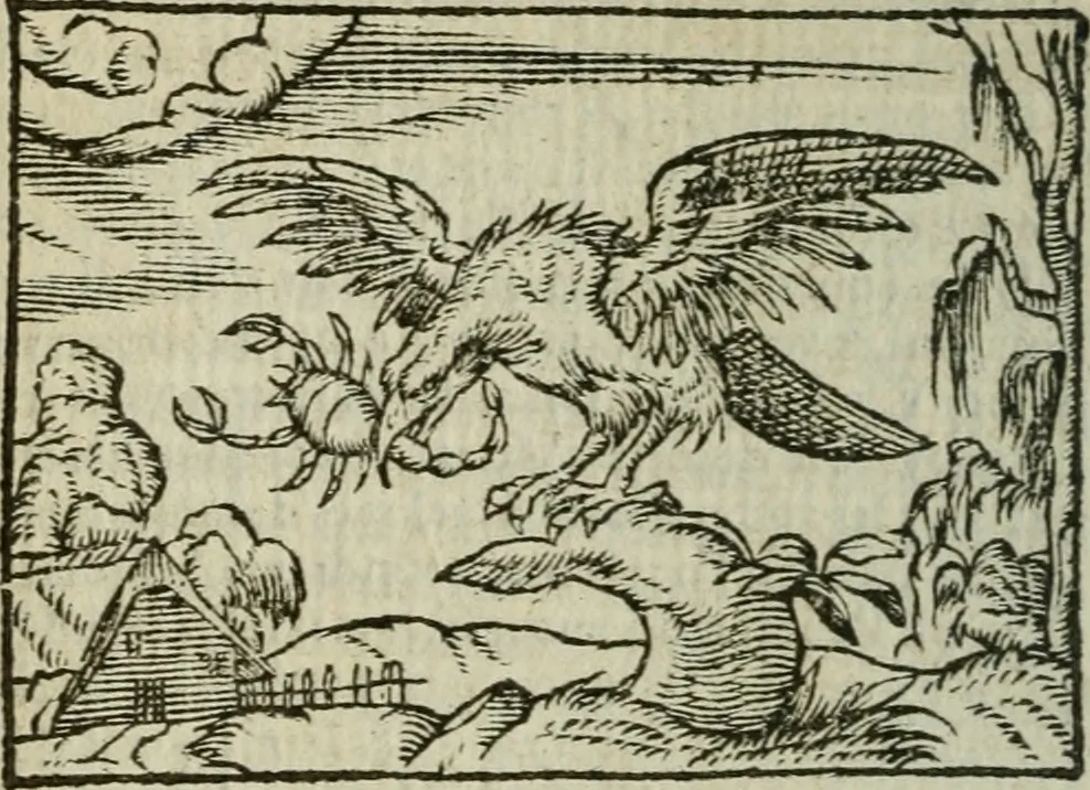 An illustration from Emblemes d'Alciat : en latin et francois vers povr vers, 1574, leaf 263