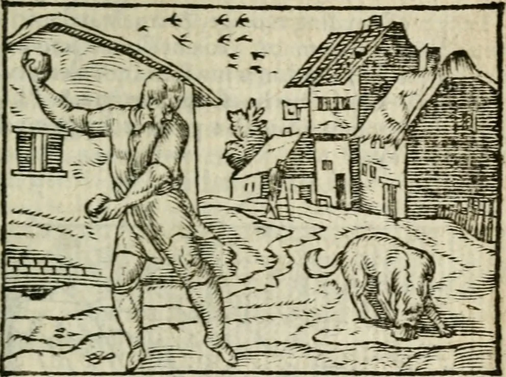 An illustration from Emblemes d'Alciat : en latin et francois vers povr vers, 1574, leaf 266