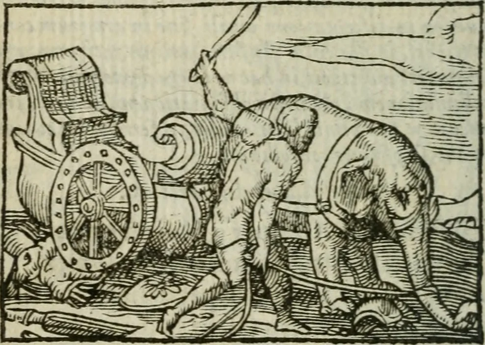 An illustration from Emblemes d'Alciat : en latin et francois vers povr vers, 1574, leaf 269
