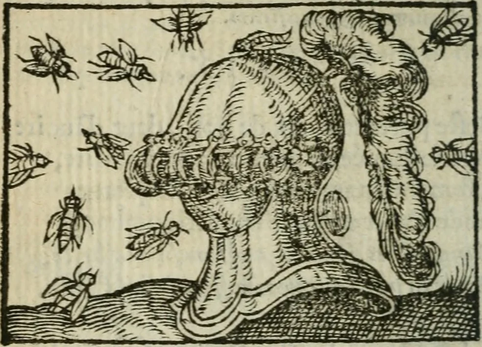 An illustration from Emblemes d'Alciat : en latin et francois vers povr vers, 1574, leaf 271