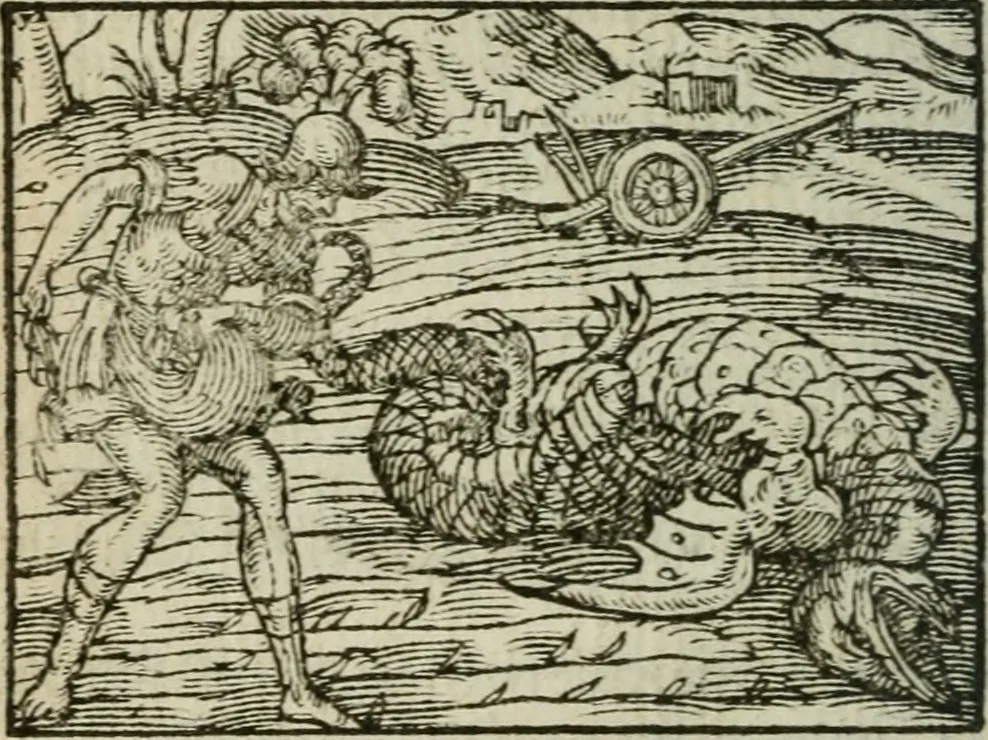 An illustration from Emblemes d'Alciat : en latin et francois vers povr vers, 1574, leaf 285