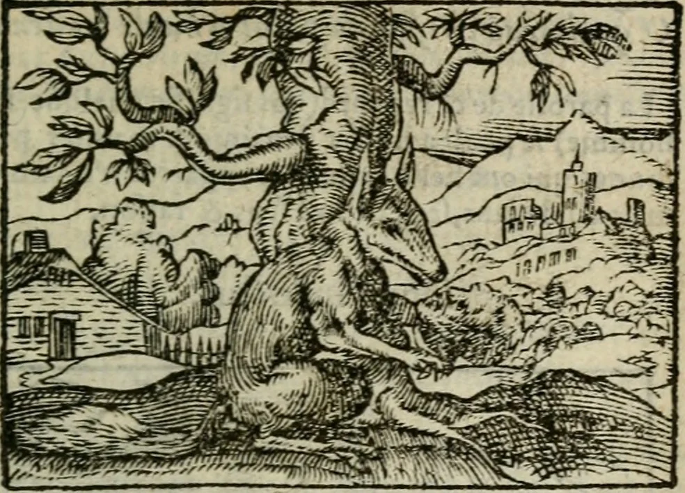 An illustration from Emblemes d'Alciat : en latin et francois vers povr vers, 1574, leaf 294