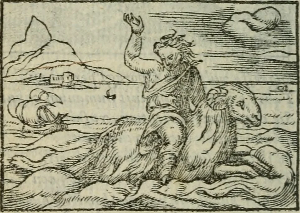 An illustration from Emblemes d'Alciat : en latin et francois vers povr vers, 1574, leaf 295