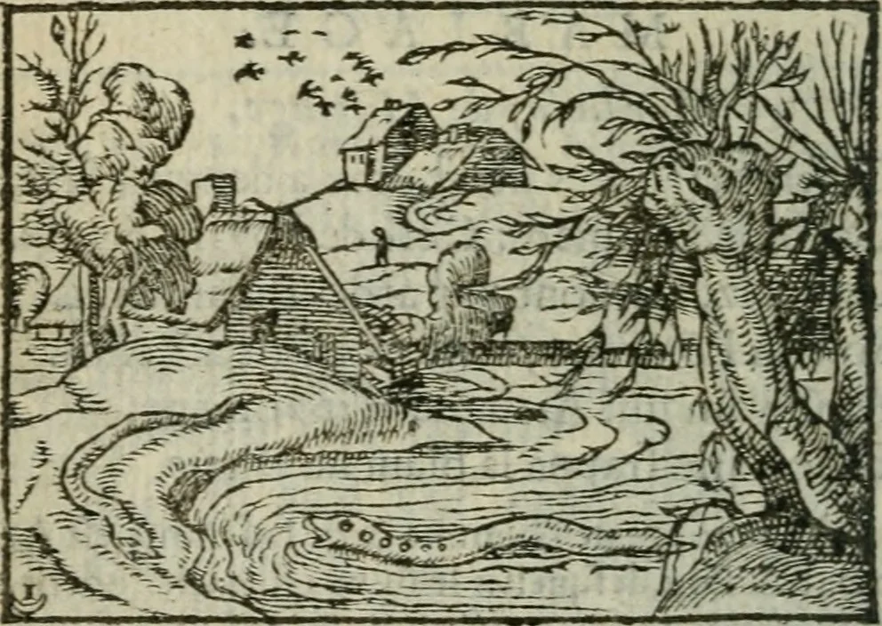 An illustration from Emblemes d'Alciat : en latin et francois vers povr vers, 1574, leaf 299