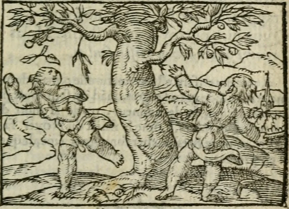 An illustration from Emblemes d'Alciat : en latin et francois vers povr vers, 1574, leaf 300