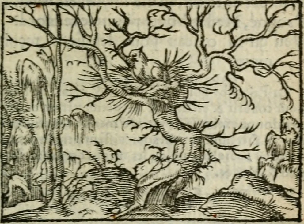 An illustration from Emblemes d'Alciat : en latin et francois vers povr vers, 1574, leaf 302