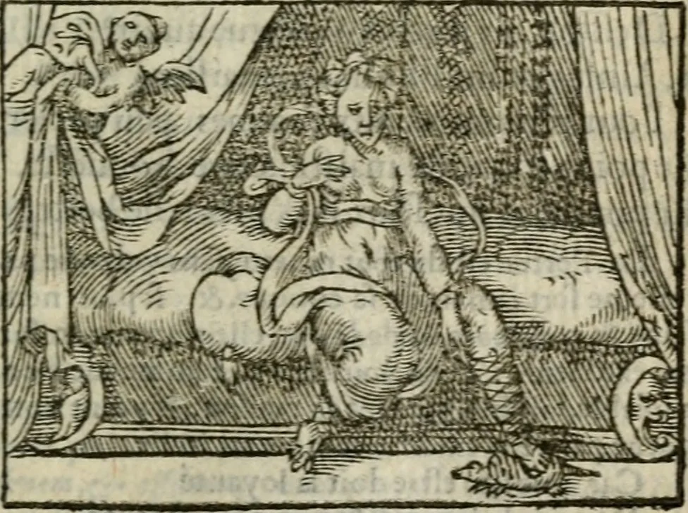 An illustration from Emblemes d'Alciat : en latin et francois vers povr vers, 1574, leaf 304