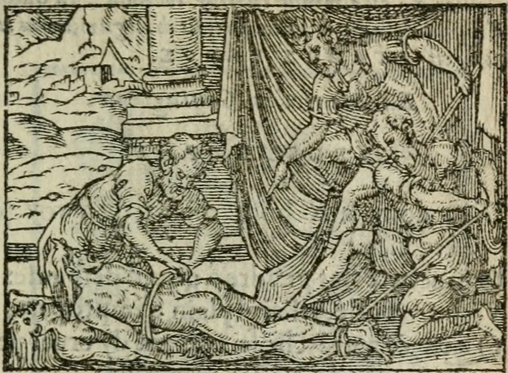An illustration from Emblemes d'Alciat : en latin et francois vers povr vers, 1574, leaf 308