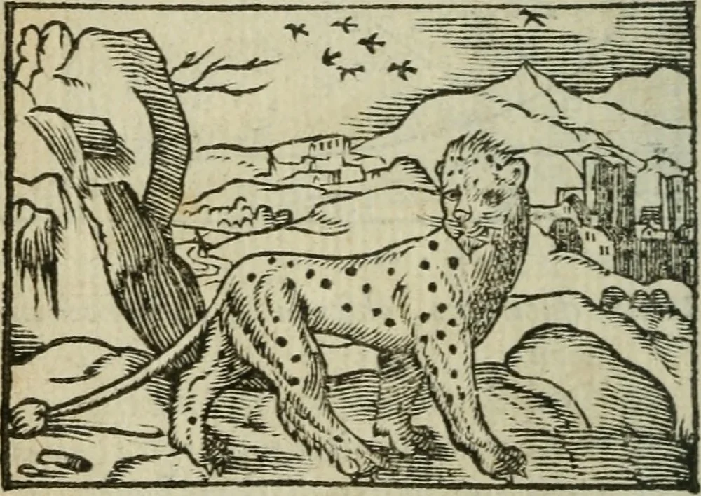 An illustration from Emblemes d'Alciat : en latin et francois vers povr vers, 1574, leaf 31