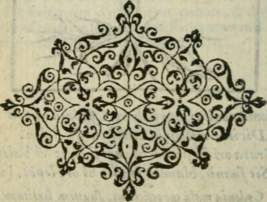 An illustration from Emblemes d'Alciat : en latin et francois vers povr vers, 1574, leaf 317