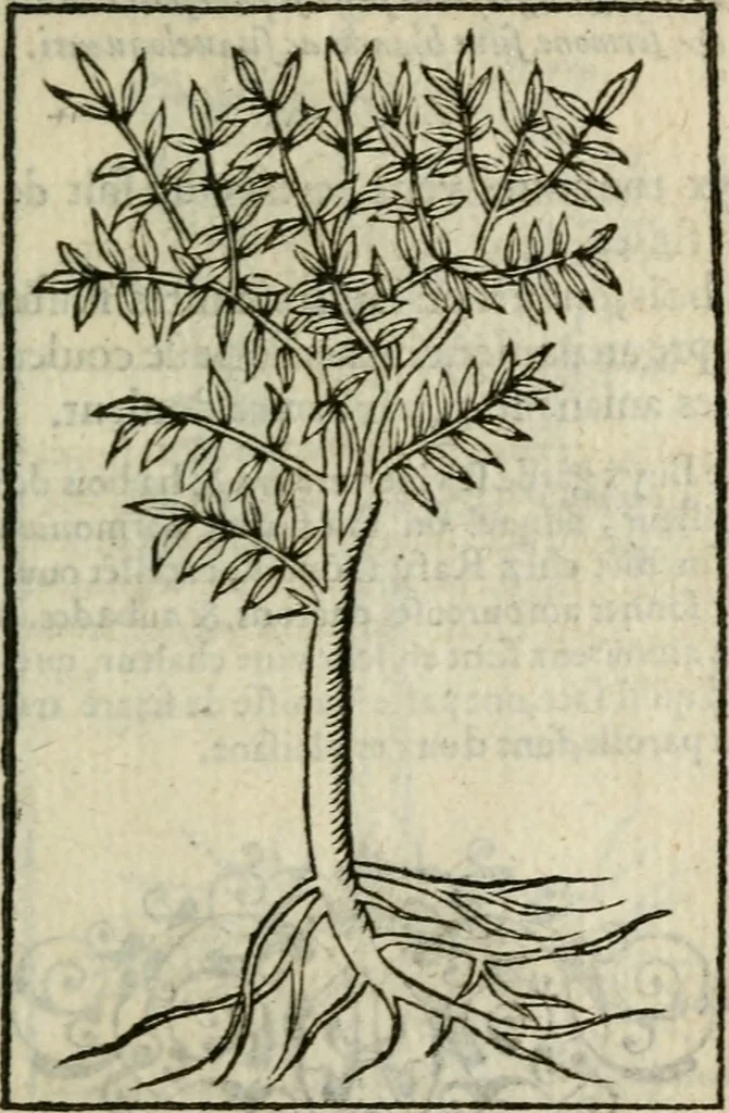 An illustration from Emblemes d'Alciat : en latin et francois vers povr vers, 1574, leaf 318