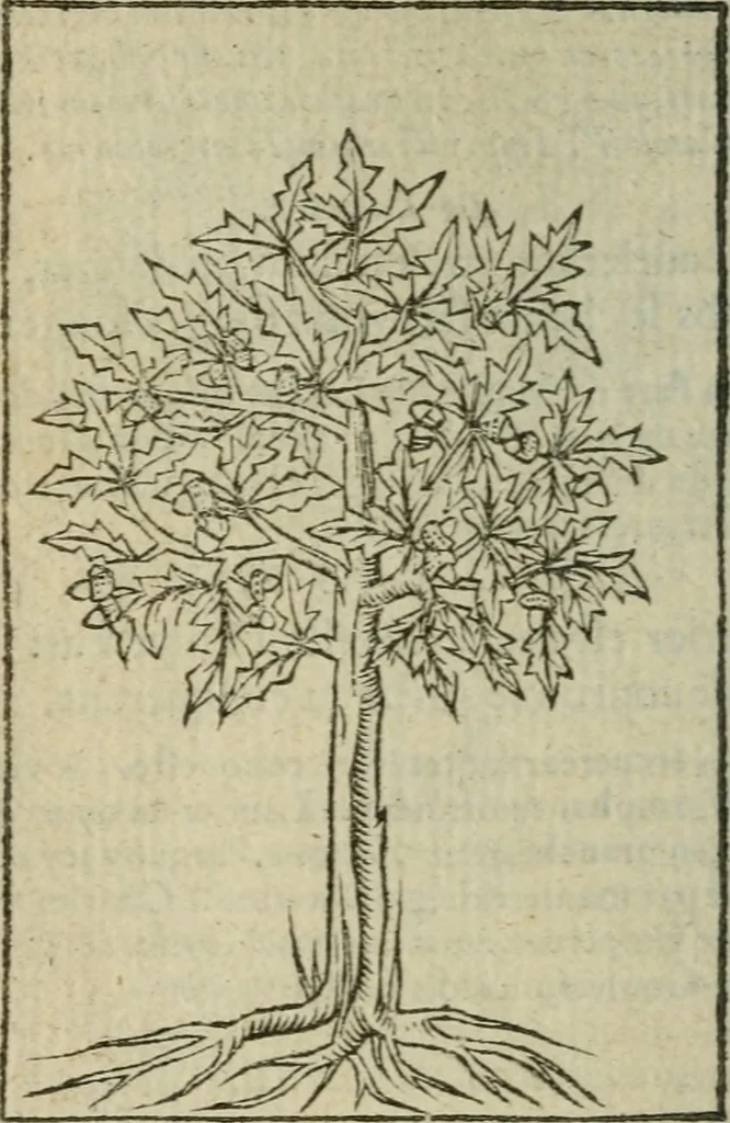 An illustration from Emblemes d'Alciat : en latin et francois vers povr vers, 1574, leaf 327