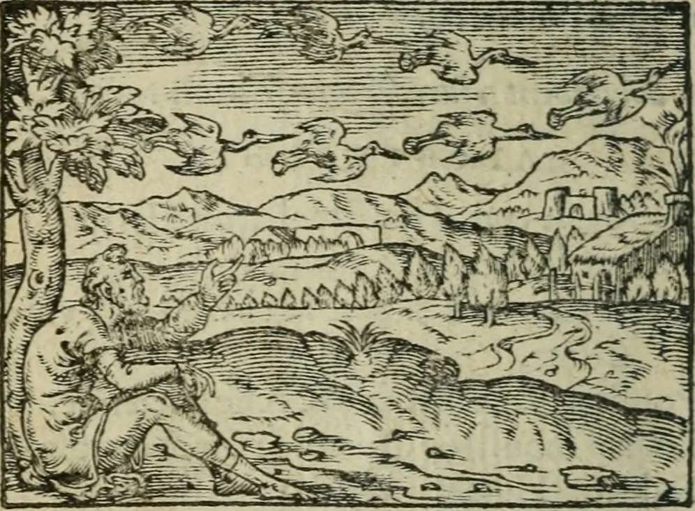 An illustration from Emblemes d'Alciat : en latin et francois vers povr vers, 1574, leaf 37
