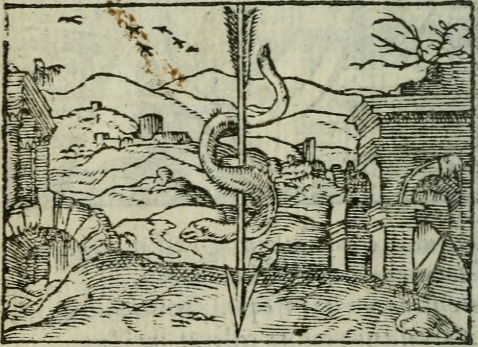 An illustration from Emblemes d'Alciat : en latin et francois vers povr vers, 1574, leaf 41