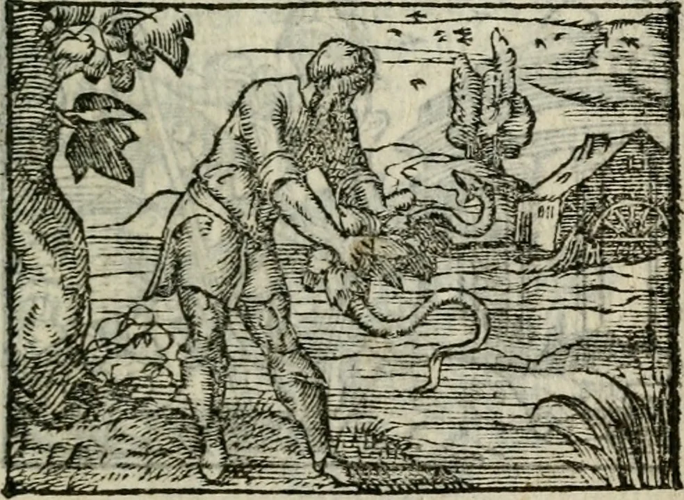An illustration from Emblemes d'Alciat : en latin et francois vers povr vers, 1574, leaf 42