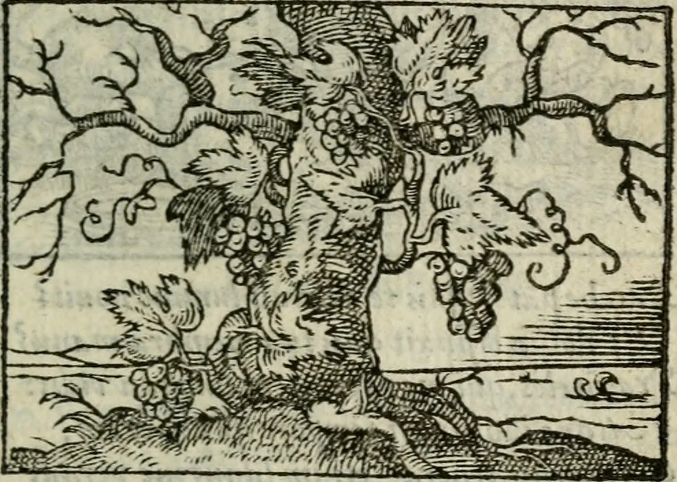 An illustration from Emblemes d'Alciat : en latin et francois vers povr vers, 1574, leaf 46
