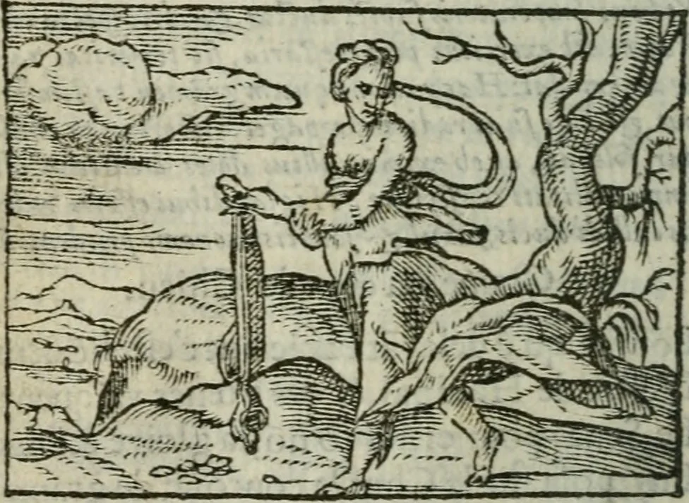 An illustration from Emblemes d'Alciat : en latin et francois vers povr vers, 1574, leaf 51