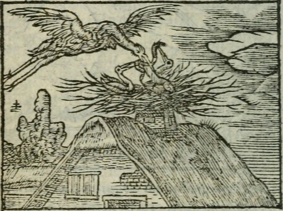 An illustration from Emblemes d'Alciat : en latin et francois vers povr vers, 1574, leaf 55
