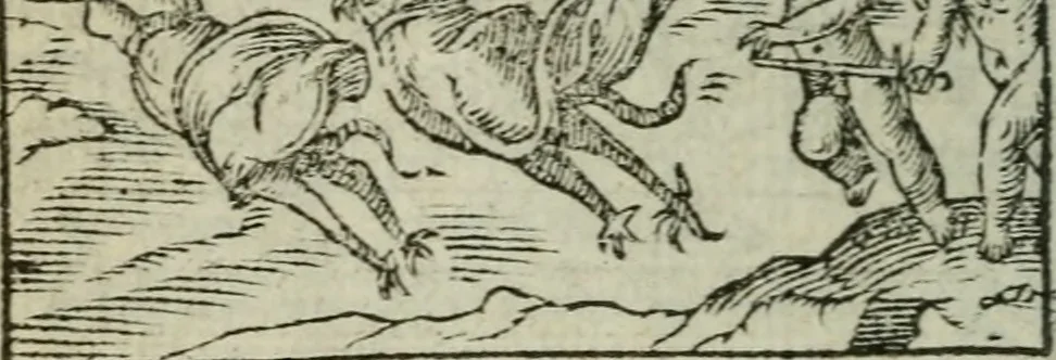An illustration from Emblemes d'Alciat : en latin et francois vers povr vers, 1574, leaf 57