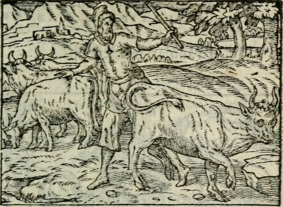 An illustration from Emblemes d'Alciat : en latin et francois vers povr vers, 1574, leaf 60