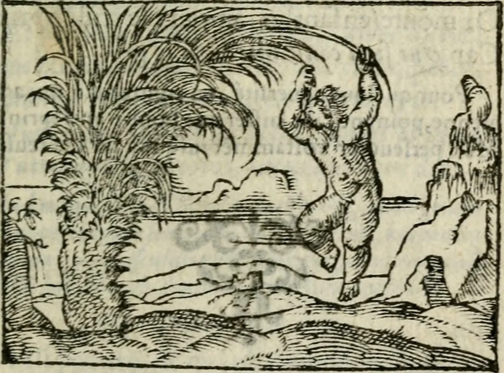 An illustration from Emblemes d'Alciat : en latin et francois vers povr vers, 1574, leaf 62