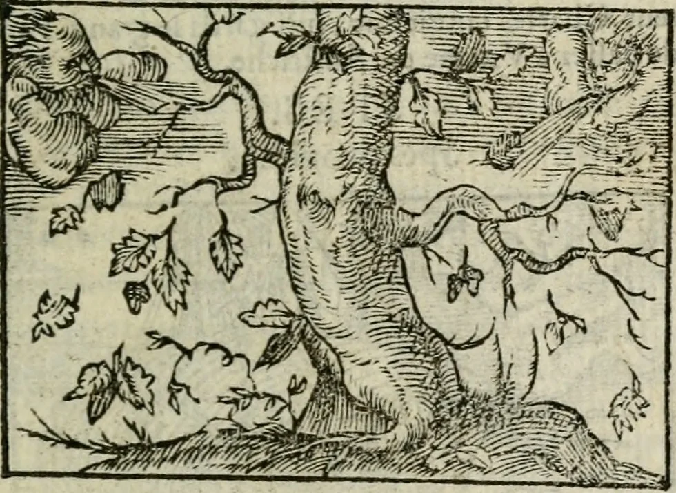 An illustration from Emblemes d'Alciat : en latin et francois vers povr vers, 1574, leaf 70
