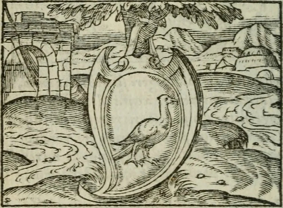 An illustration from Emblemes d'Alciat : en latin et francois vers povr vers, 1574, leaf 77