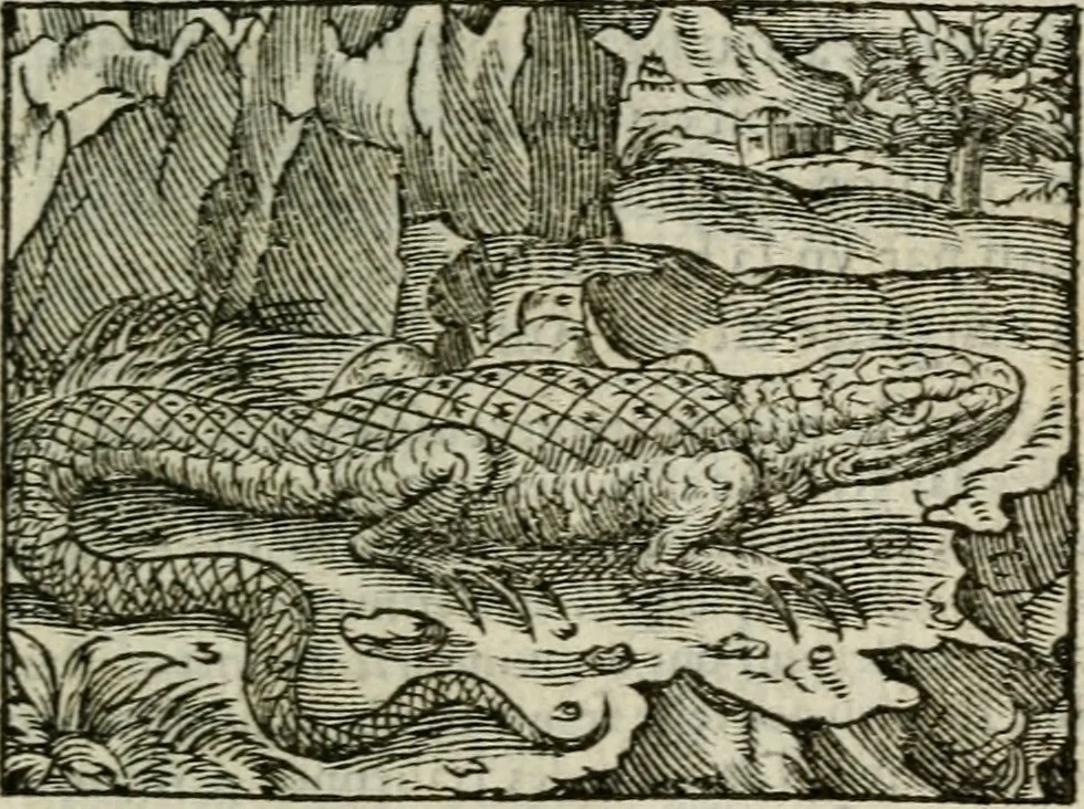 An illustration from Emblemes d'Alciat : en latin et francois vers povr vers, 1574, leaf 80
