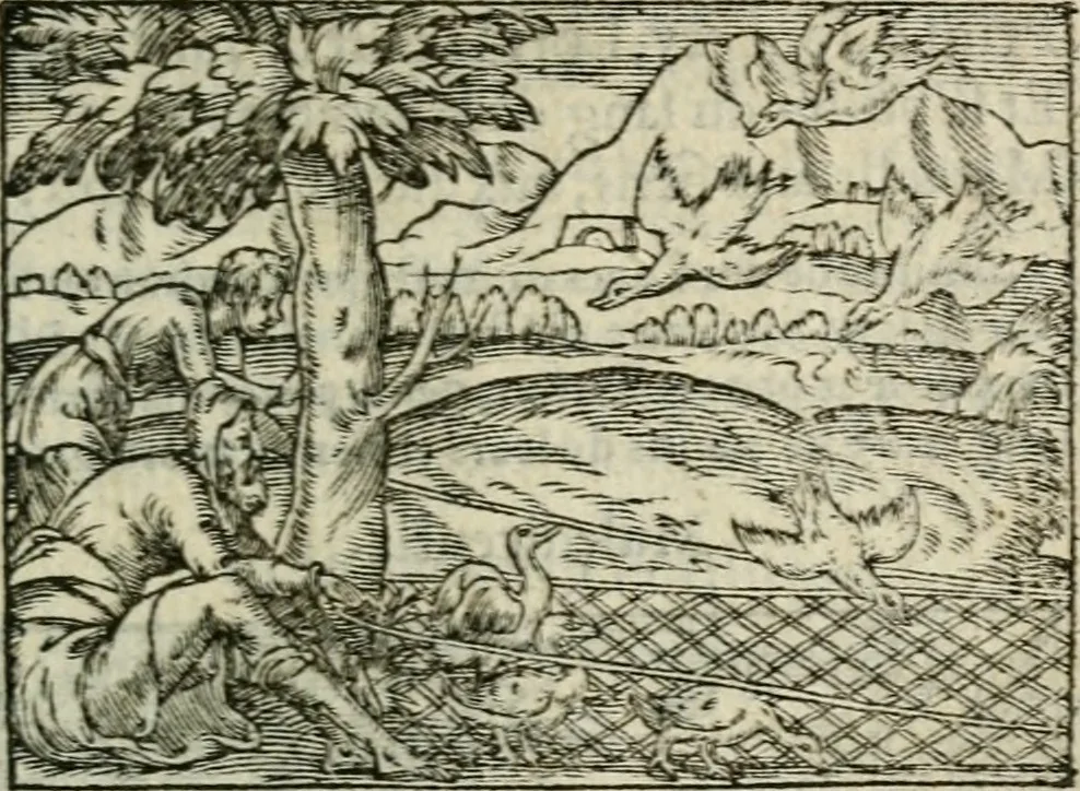 An illustration from Emblemes d'Alciat : en latin et francois vers povr vers, 1574, leaf 82
