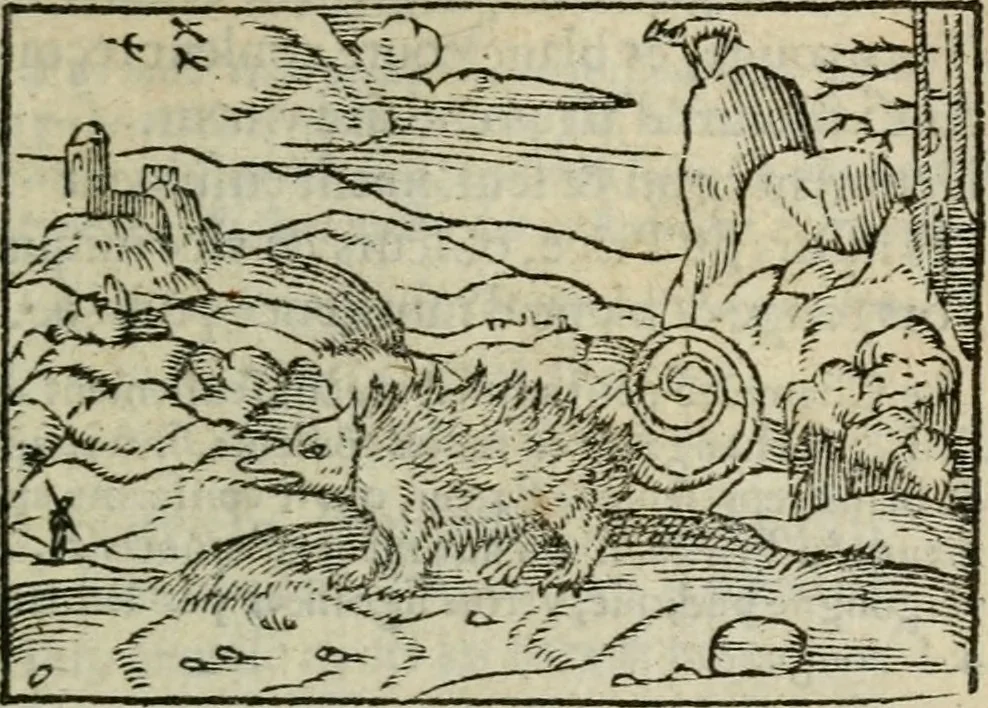An illustration from Emblemes d'Alciat : en latin et francois vers povr vers, 1574, leaf 86