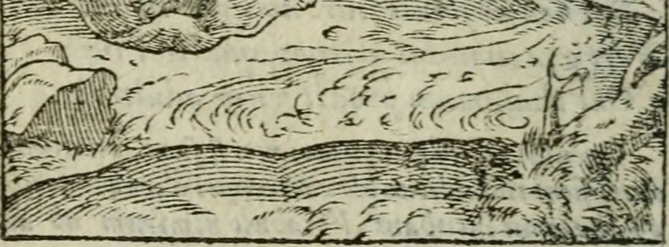 An illustration from Emblemes d'Alciat : en latin et francois vers povr vers, 1574, leaf 95