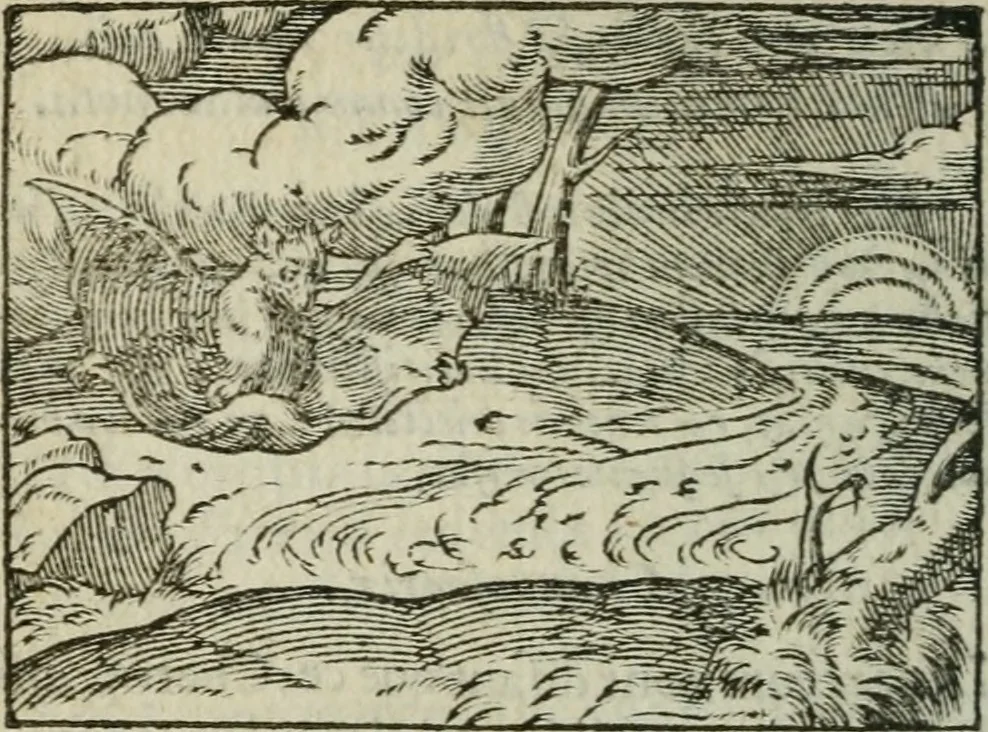 An illustration from Emblemes d'Alciat : en latin et francois vers povr vers, 1574, leaf 97