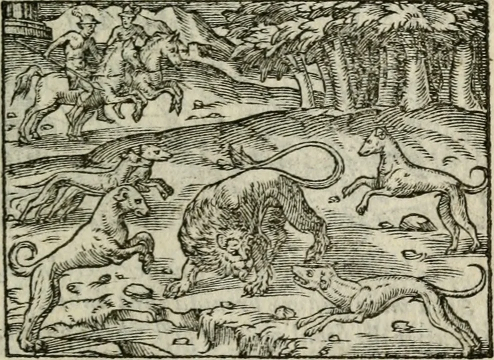 An illustration from Emblemes d'Alciat : en latin et francois vers povr vers, 1574, leaf 98