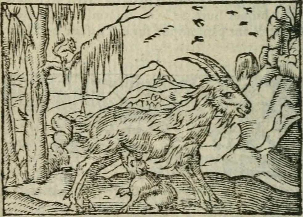 An illustration from Emblemes d'Alciat : en latin et francois vers povr vers, 1574, leaf 99