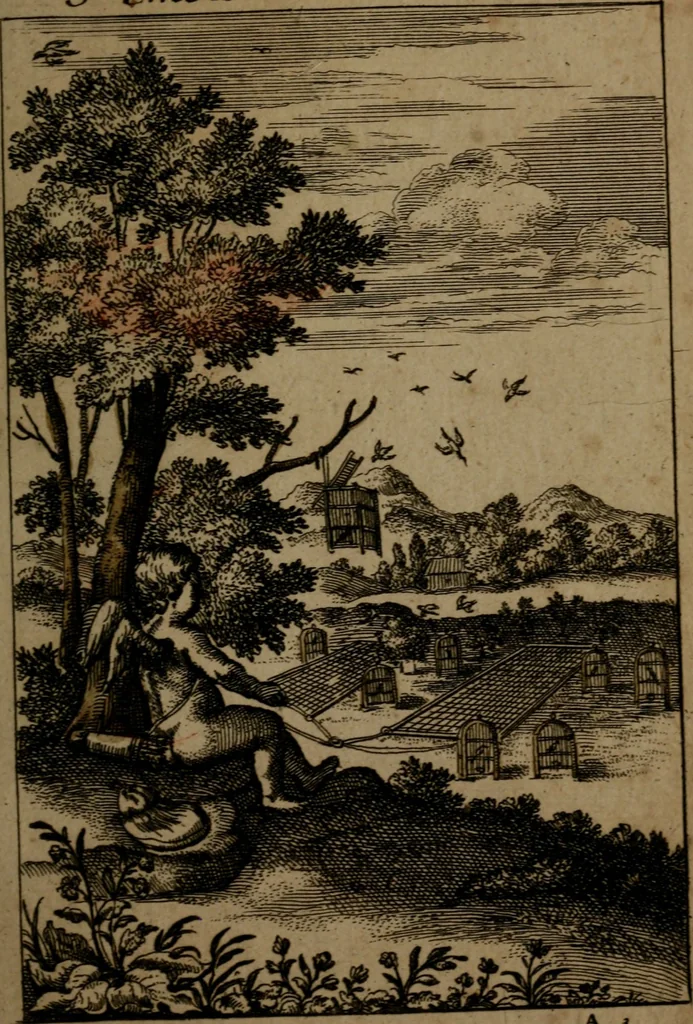 An illustration from Emblemes d'amour en quatre langue, 1683, leaf 22