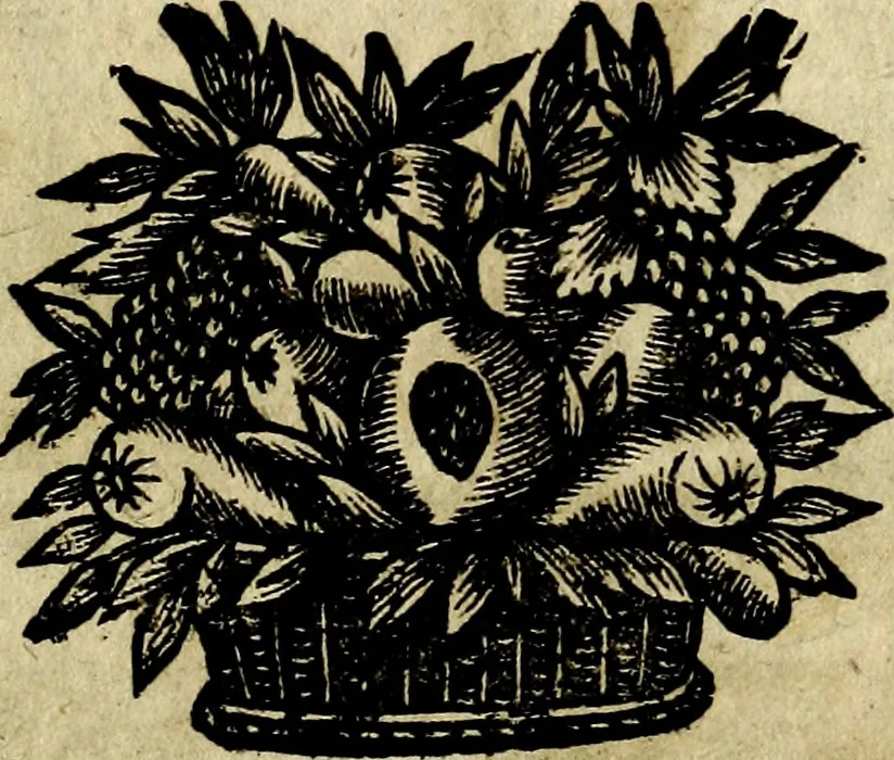 An illustration from Emblemes divers, representez dans cent quarante figures en taille-douce : Enrichis de discours moraux, philosophiques, politiques, et hystoriques ... Où il est traité de la science des roys, princes, ministres d'estats, et generaux d'armées, 1659, leaf 111